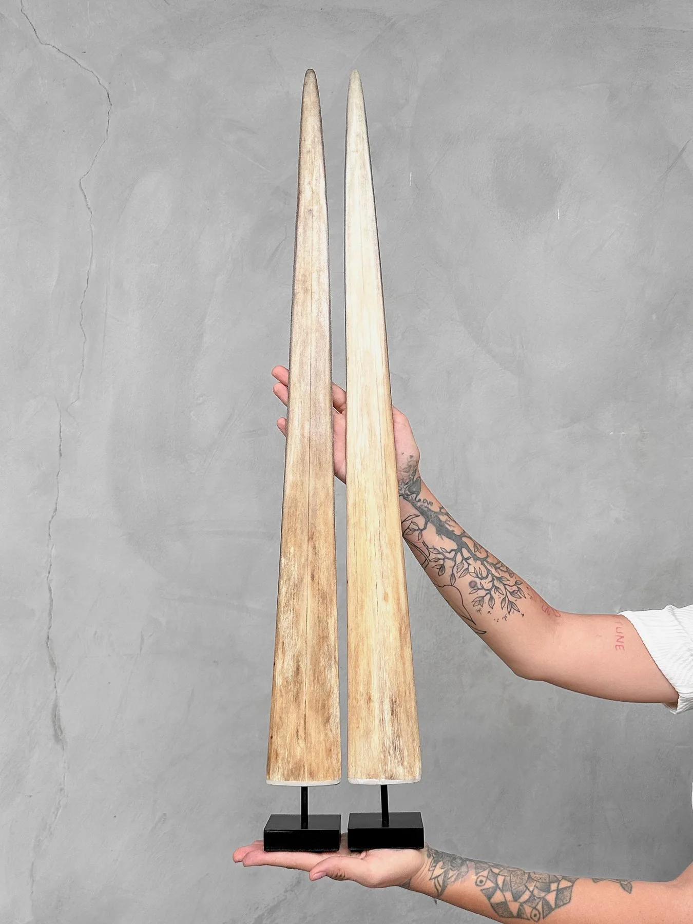 (2 pcs) Pair real Bills/tusks Swordfish/Swordfish/Marlin/Swordfish na iron stojane (80cm)